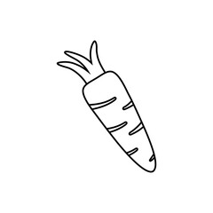Vegetables icon vector. vitamins illustration sign. carrot symbol or logo.