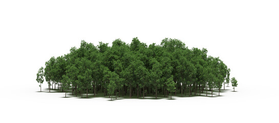 group of trees isolated on a white background, big trees in the forest, 3D illustration, cg render