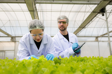 Scientists are conducting research and development on the cultivation of organic vegetables in a...