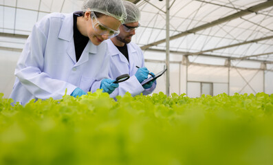Scientists are conducting research and development on the cultivation of organic vegetables in a...