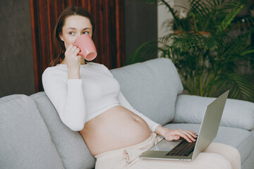 Young pregnant IT woman wear casual clothes work hold use laptop pc computer drink tea sit on grey sofa couch stay at home hotel flat rest relax spend free spare time in living room Maternity concept.