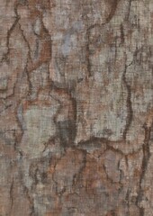 bark of a tree pattern 