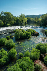 natural landscape with greenish trees in the water of a flowing river, surrounded by a small waterfall and the blue sky.