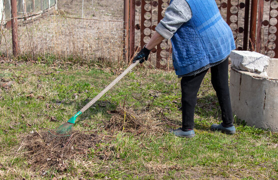 A woman in a blue dress cleans the garden with a rake