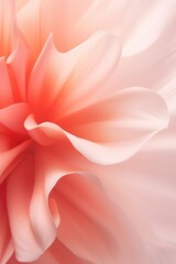 Beautiful close up floral baclground