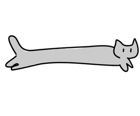 A very long grey cat