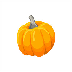 Pumpkin Isolated on White. Flat Design Style. Vector illustration