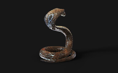 3d Illustration King Cobra The World's Longest Venomous Snake Isolated on Black Background, King Cobra Snake with Clipping Path