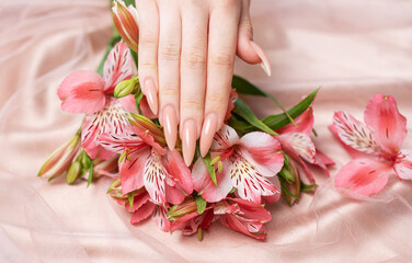 Elegant pastel pink natural manicure.