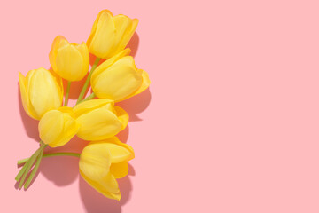 flat lay spring abstract flowers background of yellow tulips flower with hard shadow over pink, copy space