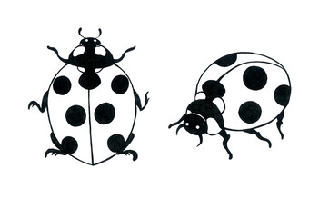 Realistic line drawing of a ladybug from above and from the side. Black outline on a white background. Doodle.