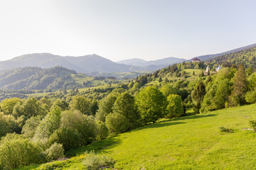 Fototapeta premium Mountain meadows and forests on Carpathian ridges in sunny weather