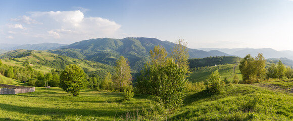 Mountain meadows and forests on Carpathian ridges in sunny weather