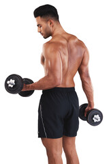 Man, weightlifting with dumbbells and fitness, strong with muscle and exercise isolated on...