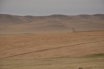 landscape in the desert