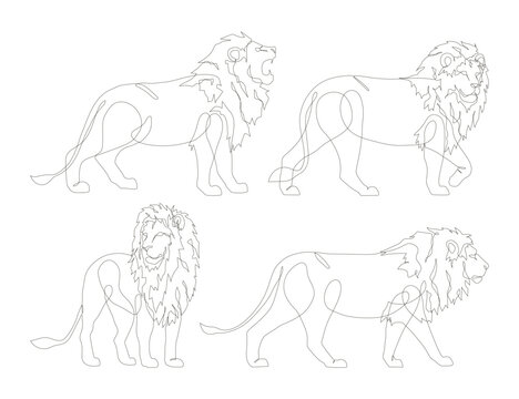 Lion line art drawing collection. One continuous line drawing of lion vector illustration set. Safari zoo concept icon set. Lion modern minimalist icon pack. Lion logo symbol. Vector illustration