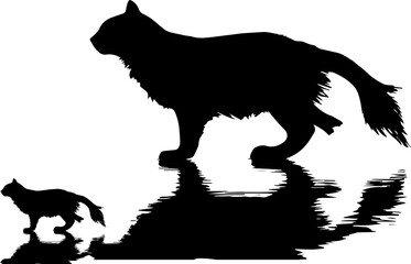 silhuette cat animal images