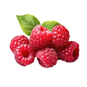 raspberry fruits isolated on white