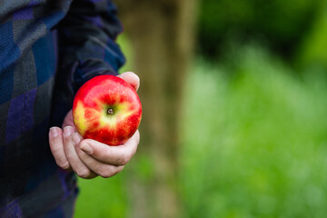 anonymous farmer holding a red apple