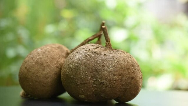 Pueraria mirifica heads on nature background.