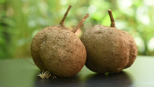 Pueraria mirifica heads on nature background.