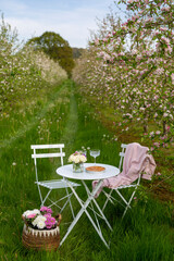 Picnic at a bistro set in a blossoming apple orchard