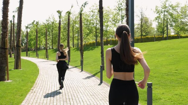 Two athletes in black sportswear are running through a modern park among palm trees, a view from the back. Slow movement of the camera with a stabilizer.