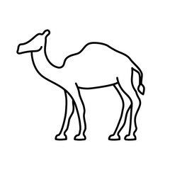 Simple And Clean Camel Outline Icon Vector Illustration
