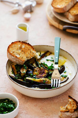 Grilled eggplant Turkish style with garlic yogurt .top veiw