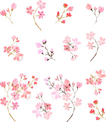 Free hand Sakura flower vector set, Beautiful line art Peach blossom isolate on white background.Cherry blossom illustration set.Element for weding card or printing on backdrop. 
