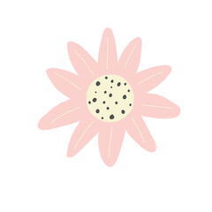 ดอกไม้สีชมพู