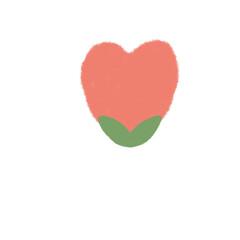 ดอกไม้สีแดง ดอกไม้