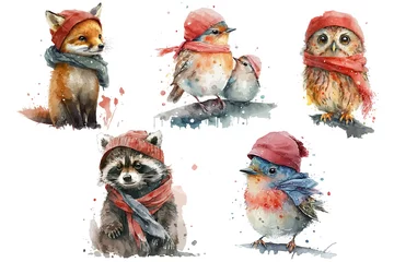 Tuinposter Safari Animal set fox, raccoon and birds like an owl in a red scarf and hat in watercolor style. Isolated . Generative AI © Zaleman