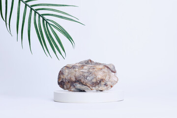 Marble stone on white cylinder pedestal podium with palm leaves over white background. Free space for your decoration, product presentation, mock up, cosmetic product display. 