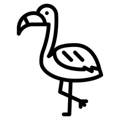 flamingo animal tropical nature summer