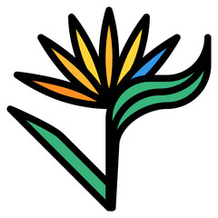 bird of paradise tropical flower nature summer