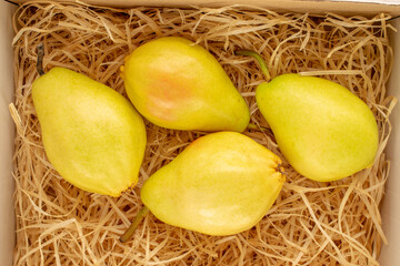 Several bright yellow pears on wood shavings, macro, top view.