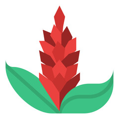 ginger tropical flower nature summer