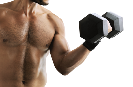 Isolated hand, dumbbell and bodybuilder man with fitness, training and transparent png background. Body builder guy, weightlifting and metal gym equipment for health, wellness and muscle development