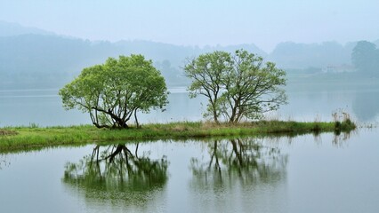 Obraz premium 반영 - 물과 나무