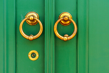 green door knocker and handle with brass detail