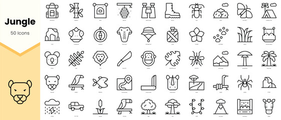 Set of jungle Icons. Simple line art style icons pack. Vector illustration