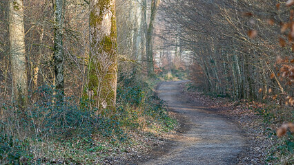 Winter Landscape around Dudelange in Luxembourg