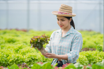 Asian farmers at hydroponic vegetables salad farm.