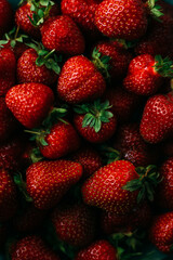 Red ripe strawberries background. Close up, top view.