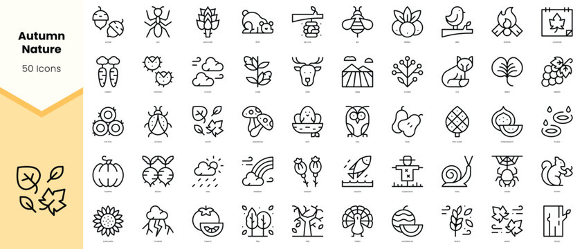 Set of autumn nature Icons. Simple line art style icons pack. Vector illustration