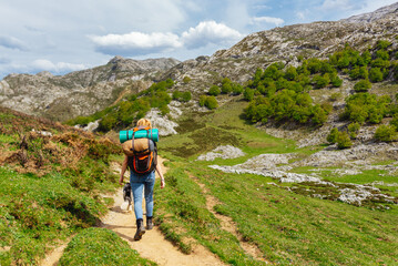 Fototapeta na wymiar Hiker woman equipped with backpack, sleeping bags and bivouac mat, walking up the mountain in the Picos de Europa National Park, Asturias, Spain. Sport and outdoor adventure.