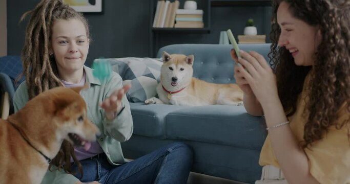 Young women having fun with dogs shiba inu breed and taking photos with smartphone camera at home. Modern lifestyle and pets concept.