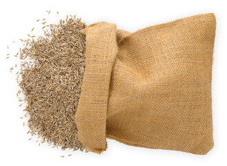 burlap bag full of grass seeds, top view isolated on white background