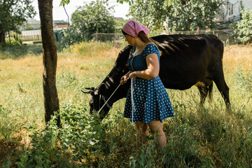 Young Ukrainian woman standing near grazing cow in farmland. Rural scene.